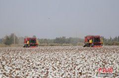 东西问｜倪文艳：中国劳动法治建设如何在新疆“结出新果”？